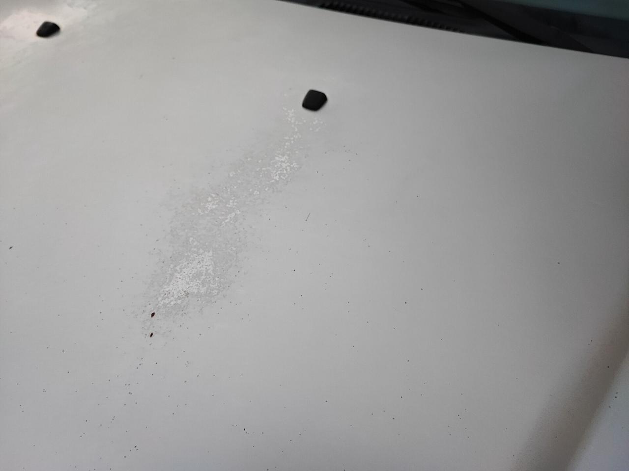 Fiat Doblo 1.9 JTD 5 posti