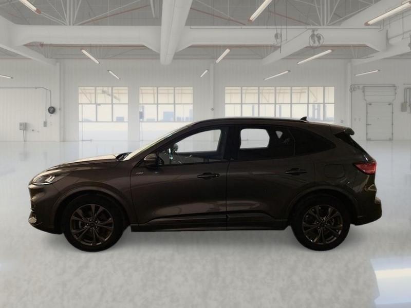 FORD KUGA 2.0 ECOBLUE 120 CV 2WD ST-LINE AUTO SUV