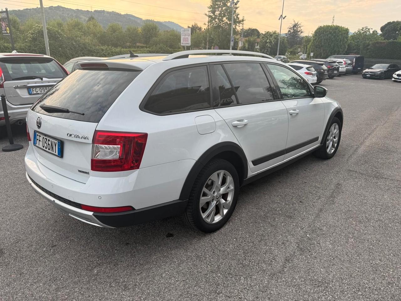 Skoda Octavia 2.0 TDI CR 180 CV 4x4 DSG Wagon Scout