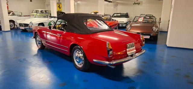 ALFA ROMEO Spider TOURING*ITALIANA DA SEMPRE - TARGHE MODENA