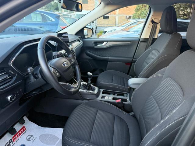 FORD Kuga 1.5 EcoBlue 120 CV 2WD Titanium Business