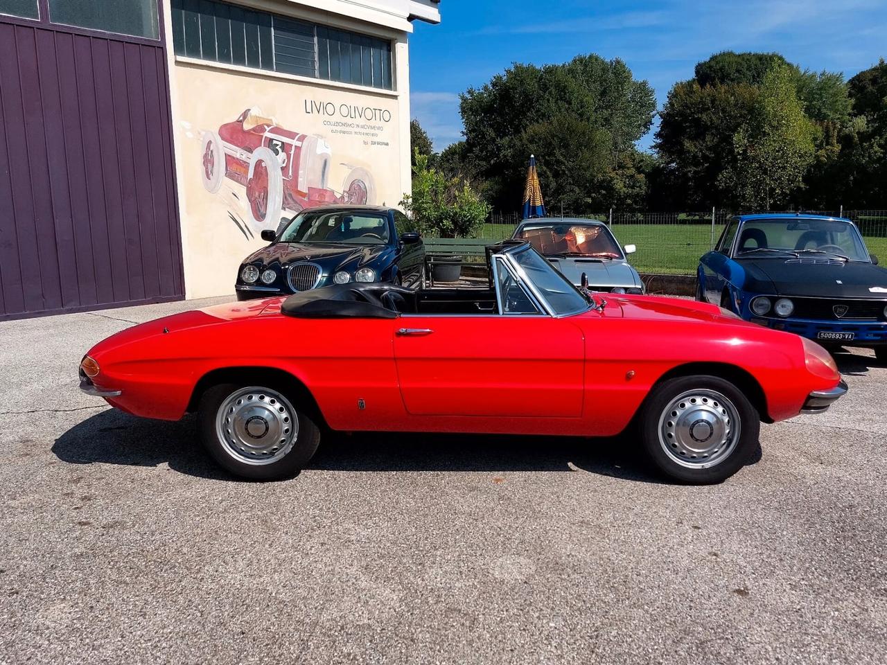 Alfa Romeo Spider Duetto 1600 Osso di Seppia del 1966