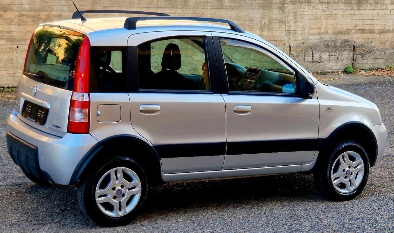 Fiat Panda 1.3 Mjt 70Cv 4x4 Climbing-02/2008