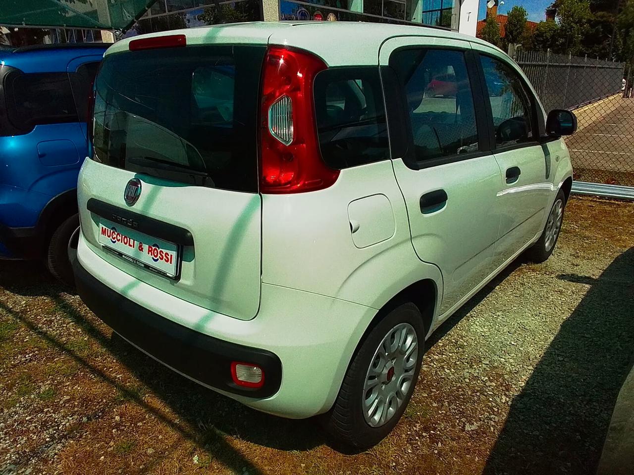 Fiat Panda Easy 1.2 Benz 69cv