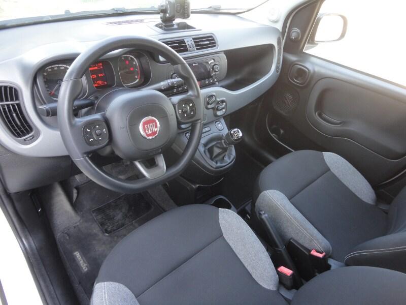 FIAT Panda 3ª serie Panda 1.0 FireFly S&S Hybr...