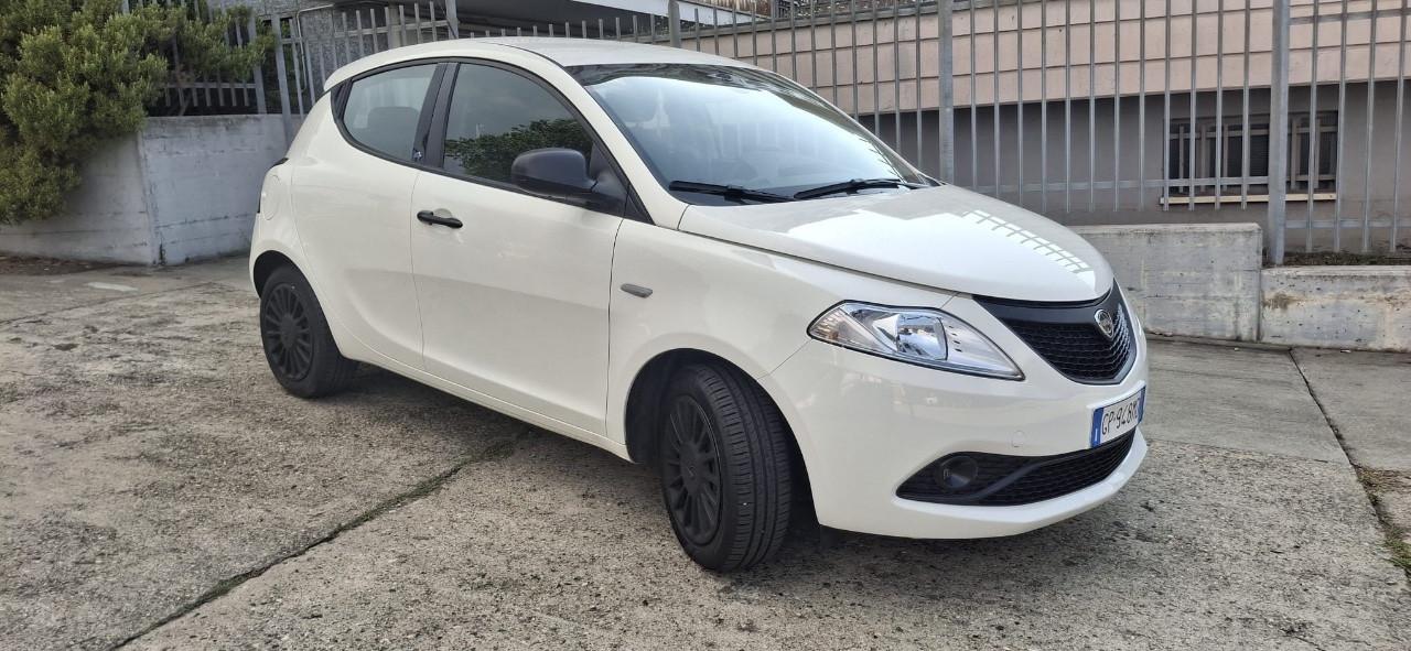 Lancia Ypsilon 1.2 Elefantino Blu s&s 69cv