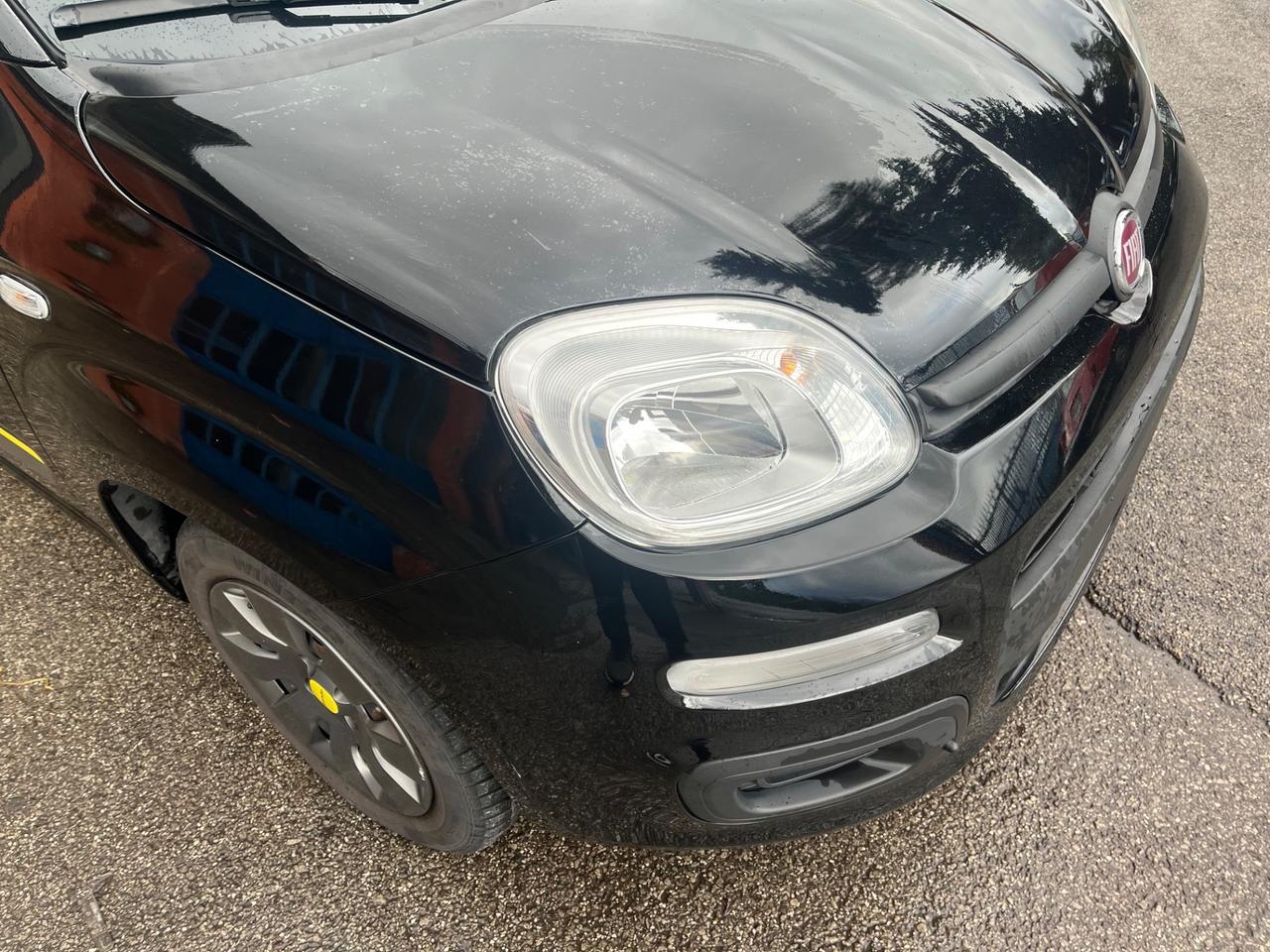 Fiat Panda 1.2 Young -solo km 21000-