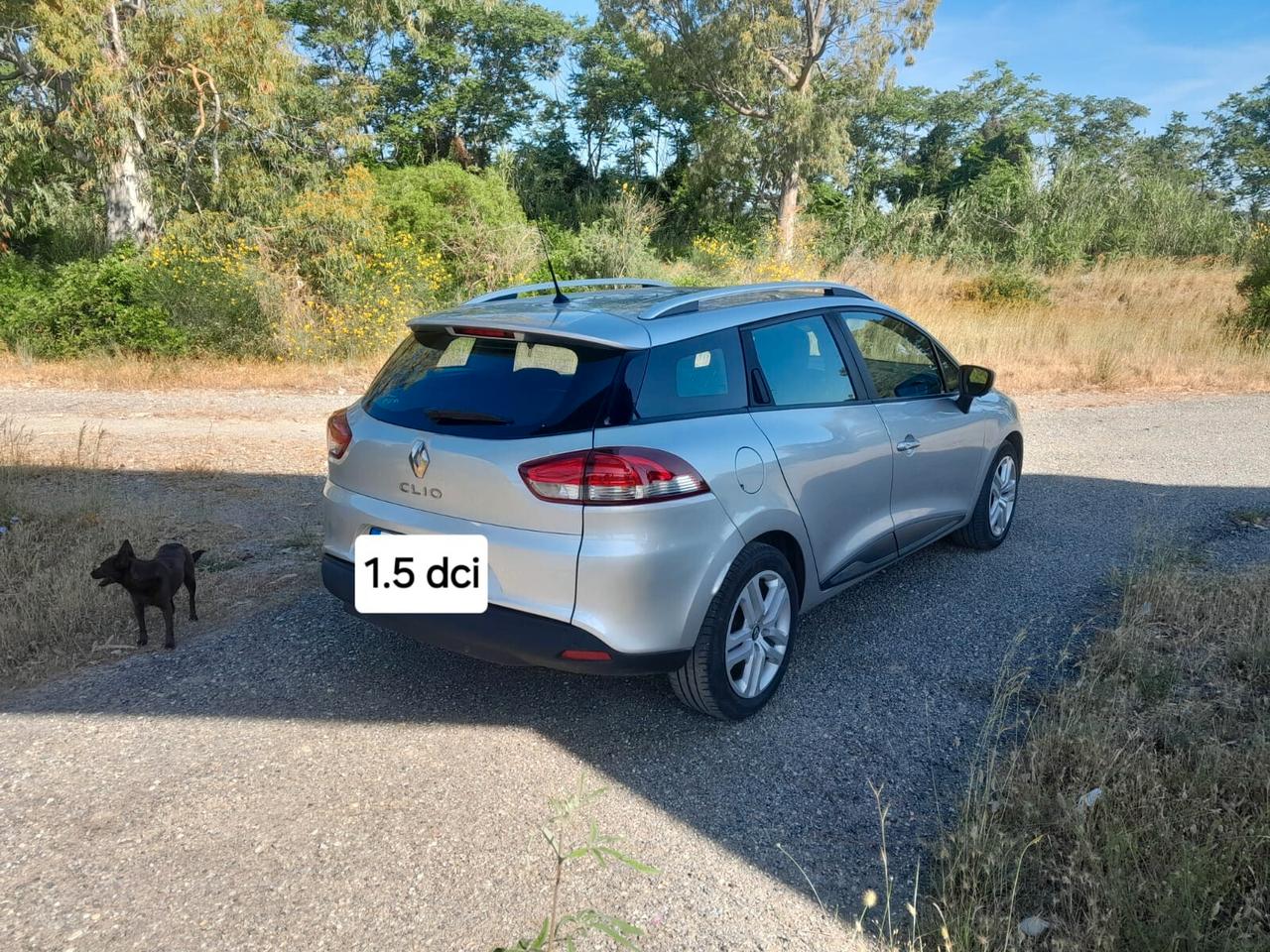 Renault Clio Sporter dCi 8V 90 CV Business
