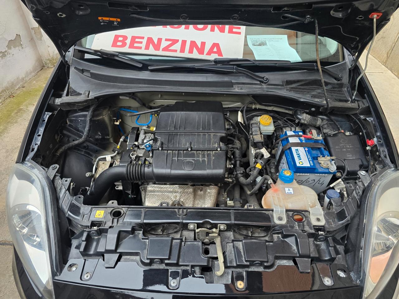 Fiat Punto 1.2 8V 5 porte Lounge