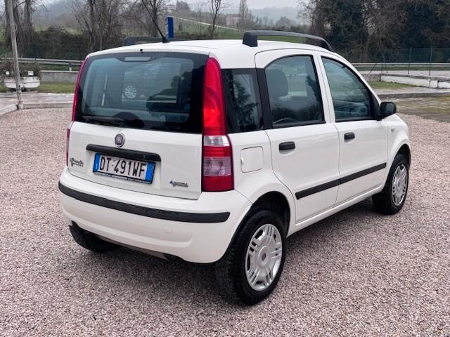 Fiat Panda 1.2 NATURAL-POWER (per COMMERCIANTI AUTO)