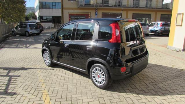 FIAT - Panda - 1.0 FireFly S&S Hybrid .