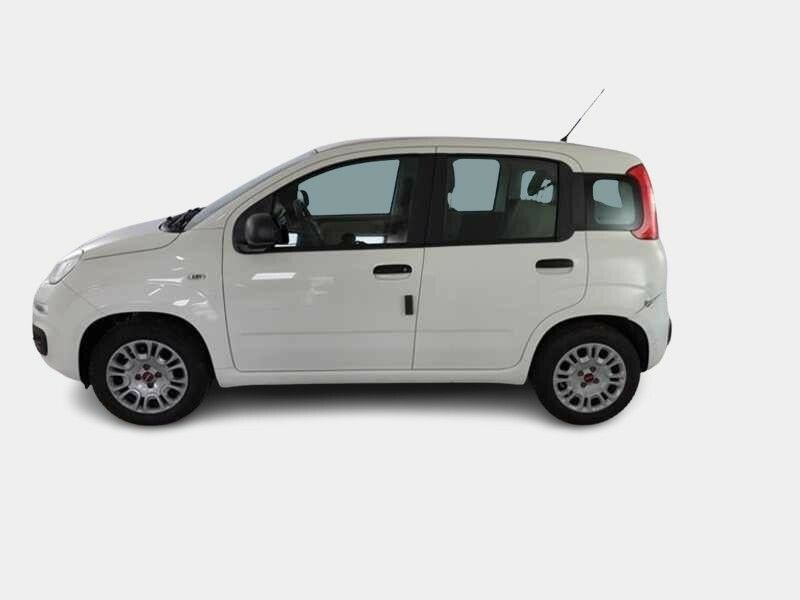 FIAT PANDA 1.2 69cv Easy 5 PORTE