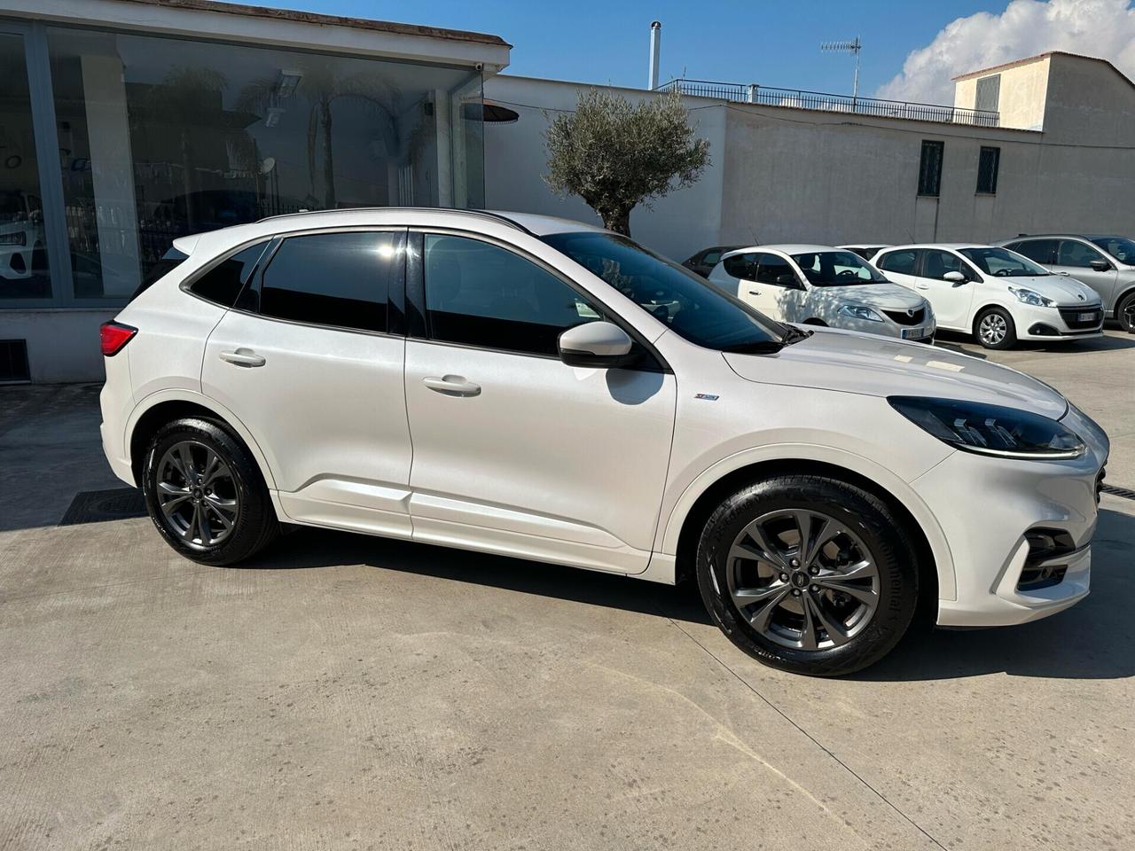 Ford Kuga 1.5 120 CV aut. ST-Line UFFICIALE FORD