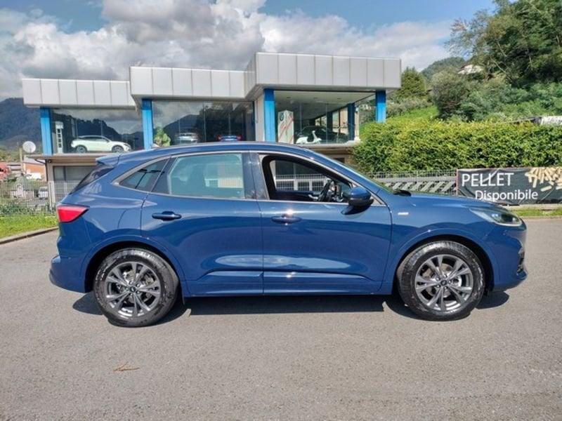 Ford Kuga Kuga 1.5 EcoBlue 120 CV 2WD ST-Line