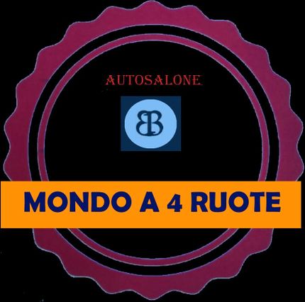 FIAT PUNTO 1.2 LOUNGE NEOPATENTATI
