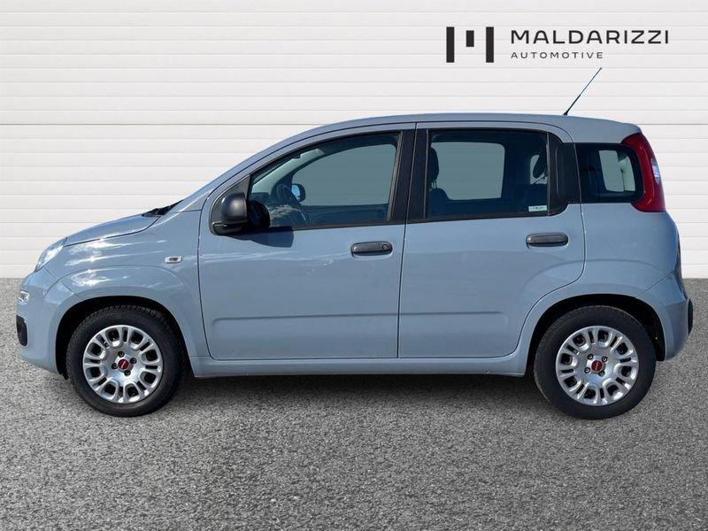 FIAT Panda III 2016 1.2 Easy easypower Gpl 69cv my19