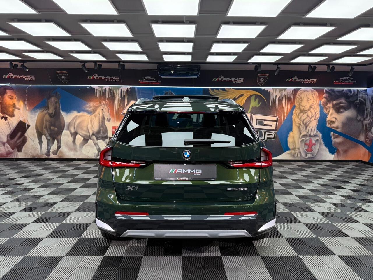 Bmw X1 sDrive 18d X Line (732)