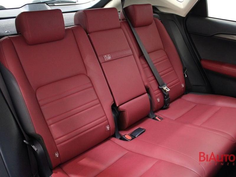 Lexus NX NX 300h 2.5 Premium 4wd cvt