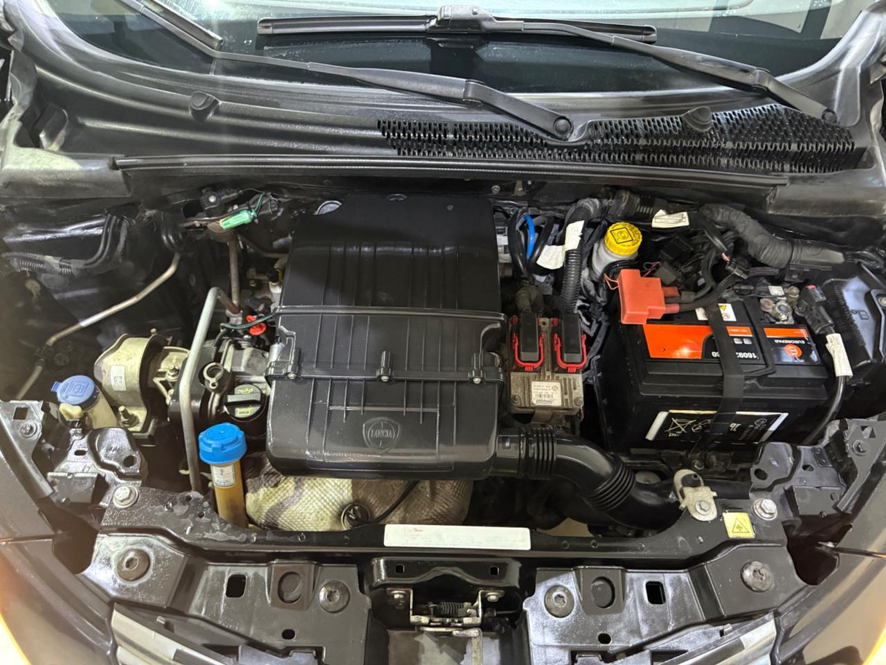 Lancia Ypsilon 1.2 69 CV 5 porte GPL Ecochic Gold