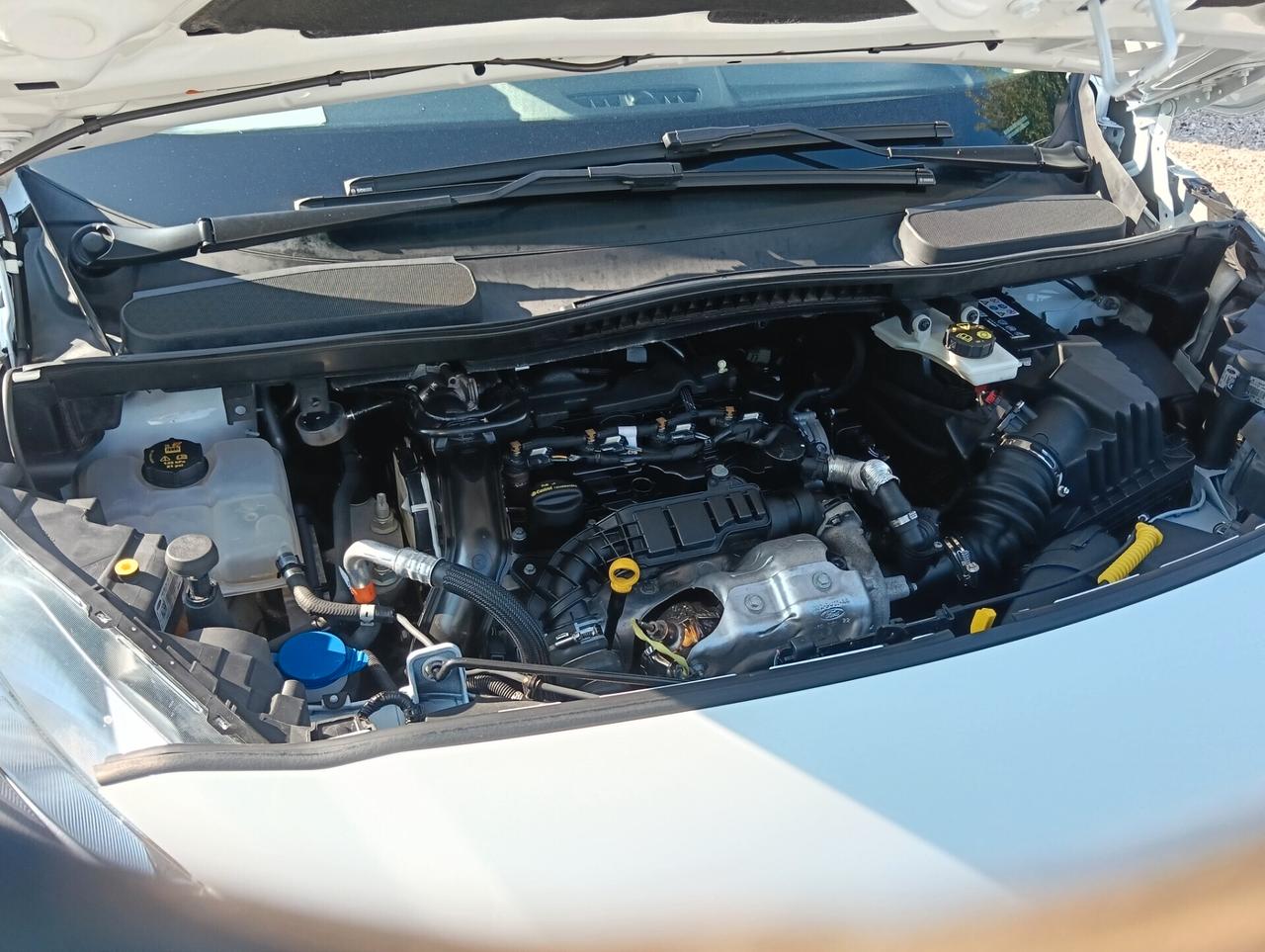 Ford Tourneo Connect MAXI 1.5 EcoBlue 120 CV S&S Aut.