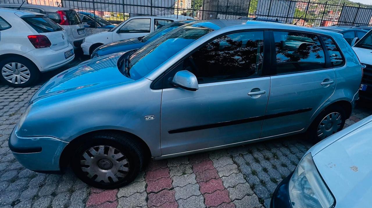 Volkswagen Polo 1.4 16V 3p. Comfortline NEOPATENTATI