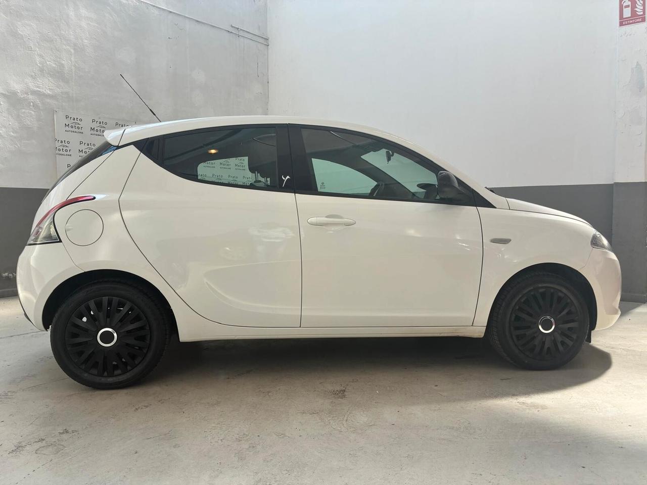 Lancia Ypsilon 1.2 69 CV 5 porte GPL Ecochic Elefantino