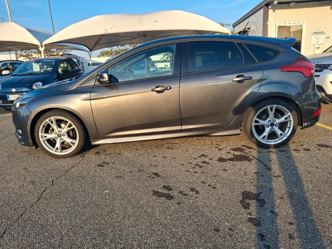 Ford Focus 1.5 TDCi 120 CV Start&Stop ST Line