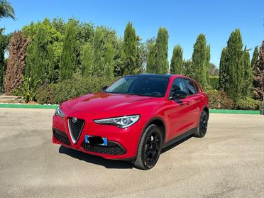 Alfa Romeo Stelvio 2.2 Turbodiesel 160 CV AT8 RWD 2019