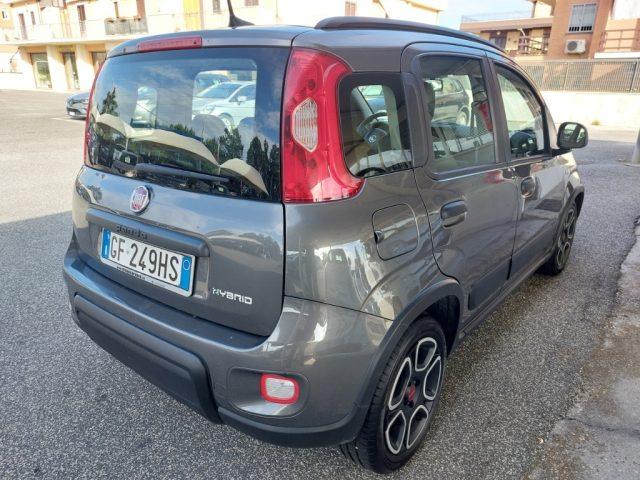 FIAT Panda 1.0 FireFly S&S Hybrid City Life Uniprò 5 Posti