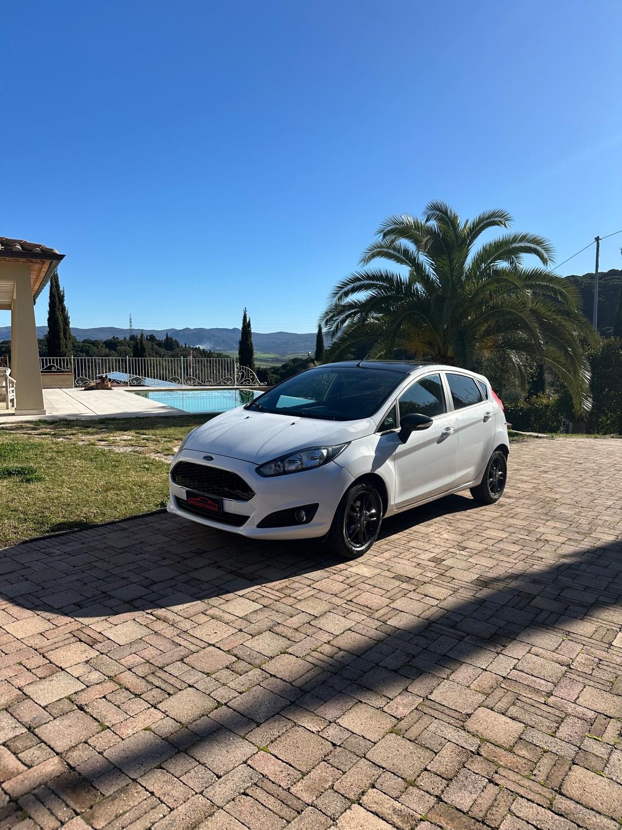 Ford Fiesta 1.5 TDCi 75CV 5 porte Black & White Edition