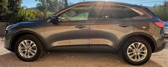 FORD Kuga 2.0 EcoBlue 120 CV aut. 2WD Titanium X