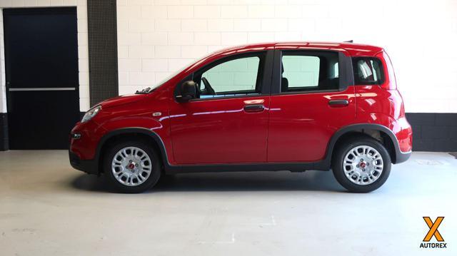 FIAT Panda 1.0 FireFly S&S Hybrid per neopatentati