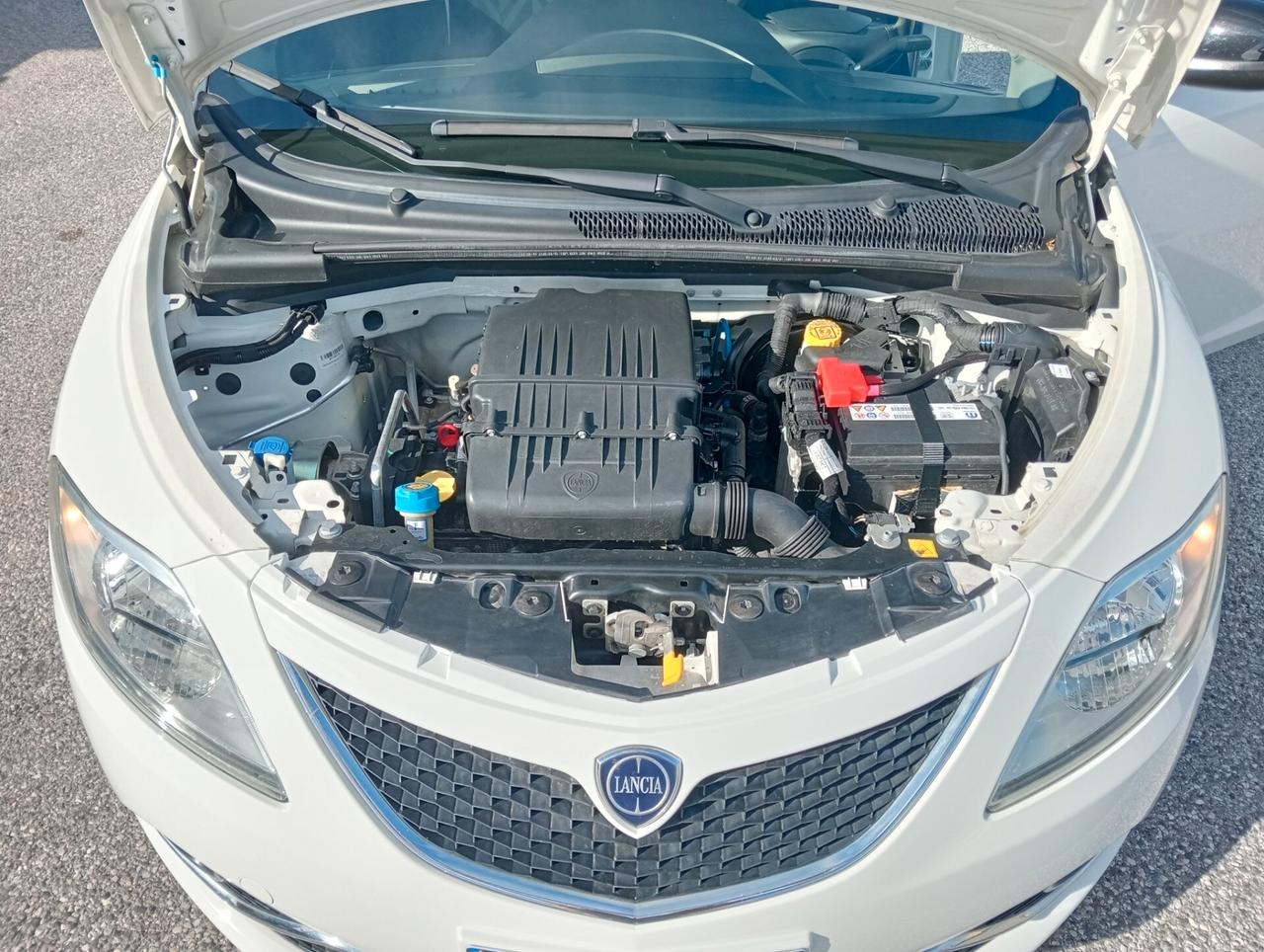 Lancia Ypsilon 1.2 69 CV 5 porte Gold 5 posti
