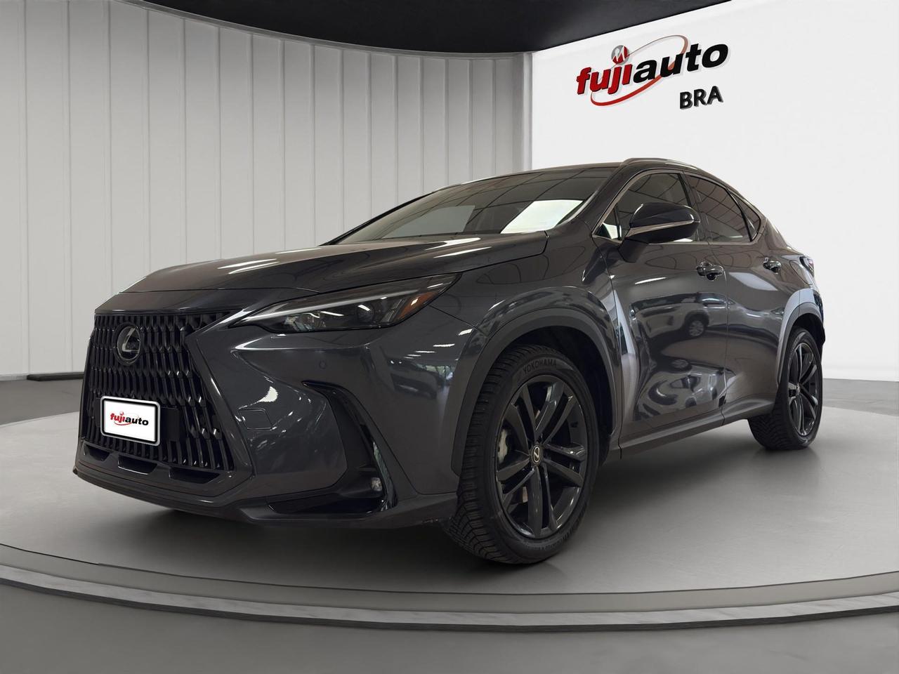 Lexus NX 450h+ 2.5 phev Premium+ 4wd 309cv e-cvt