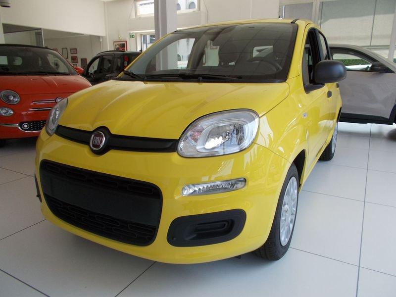 FIAT Pandina Pandina 1.0 FireFly 65 CV Hybrid Pop 338.7575187 MASSARI MARCO