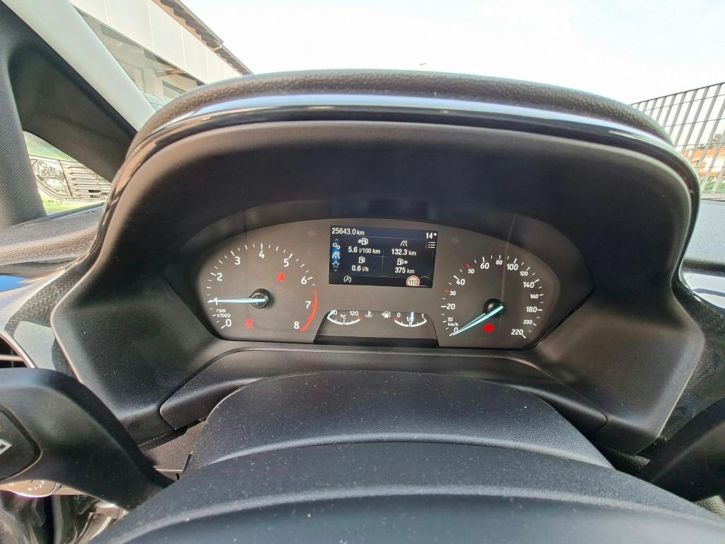 FORD Fiesta Active 2022 - Fiesta Active 1.0 ecoboost h 125cv