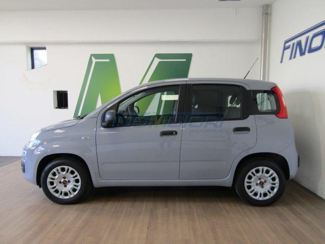 FIAT Panda 1.2 69 CV - 5 POSTI