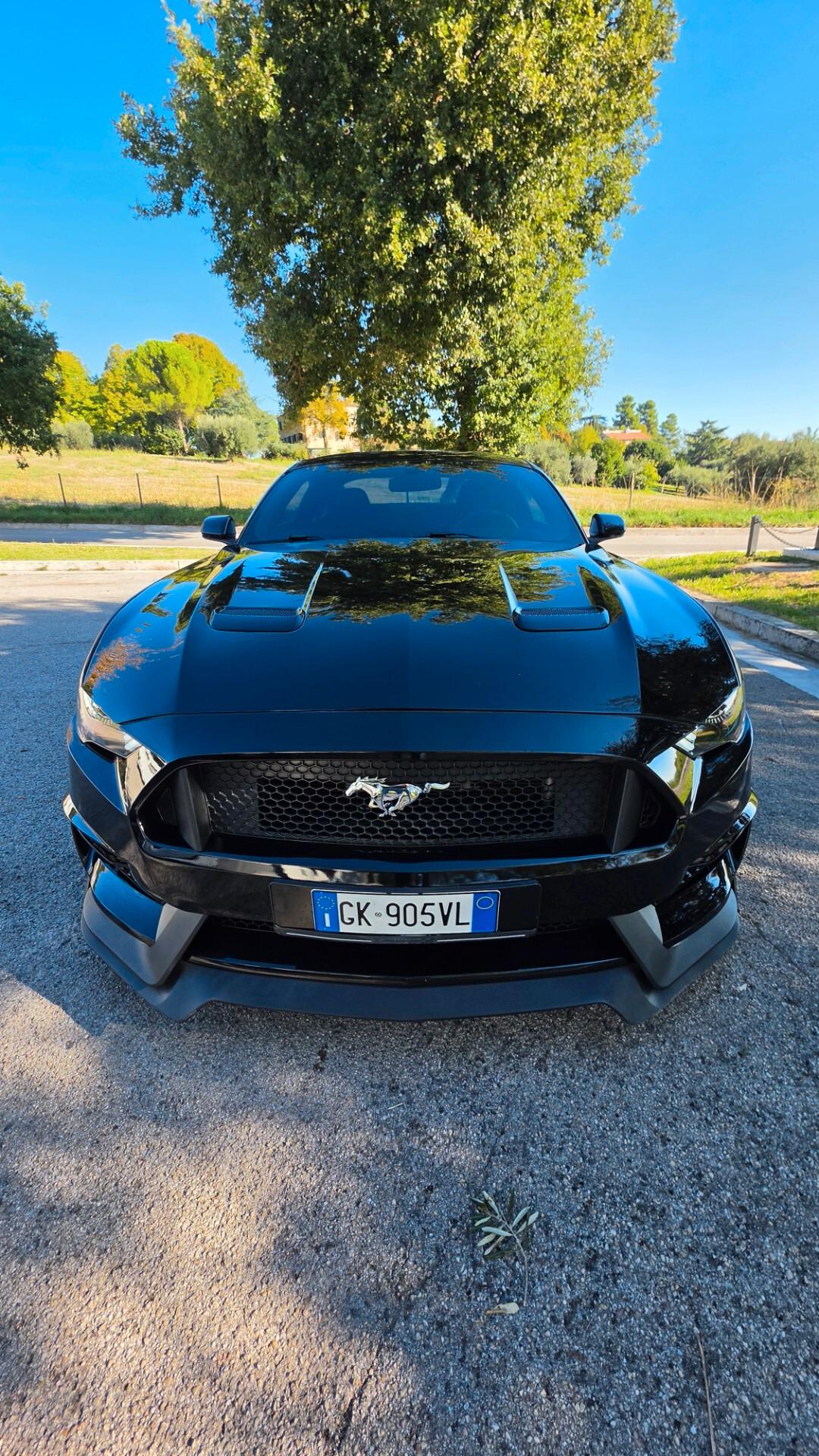 Ford Mustang PERMUTO