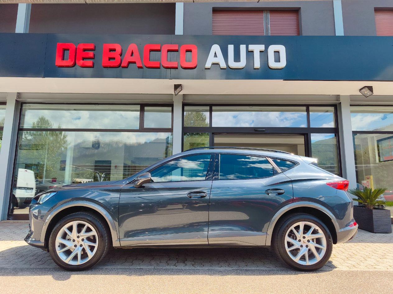 Cupra Formentor 2.0 tdi 4drive 150cv dsg