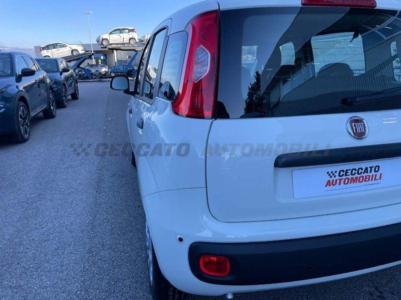 FIAT Pandina Pandina 1.0 65cv Hybrid Icon