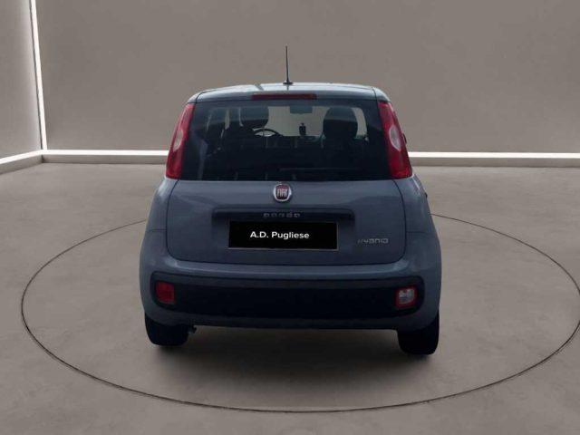 FIAT Panda 3ª serie - 1.0 FireFly S&S Hybrid