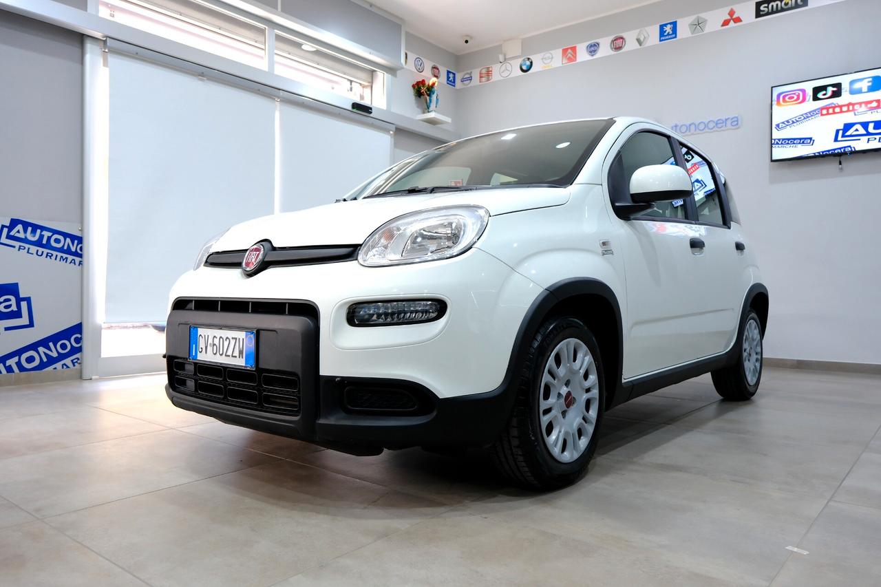 Fiat Panda Cross 1000 HYBRID 70cv CARPLAY