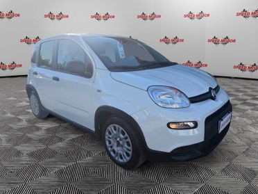 FIAT Panda Panda 1.0 firefly hybrid 70cv 5 POSTI, SENSORI!