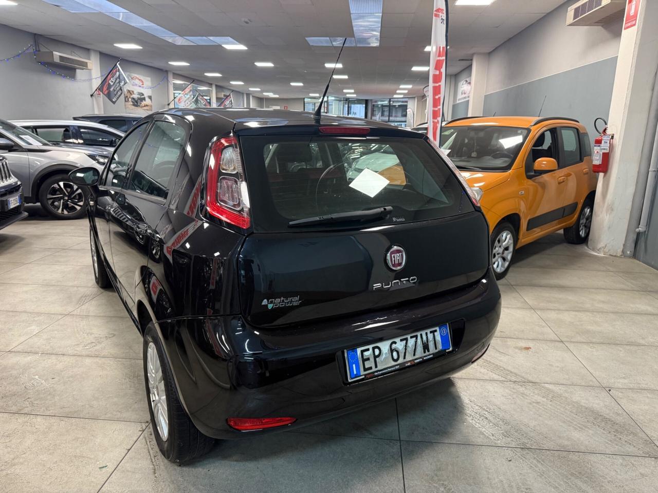 Fiat Punto 1.4 8V 5 porte Natural Power Lounge 70 CV