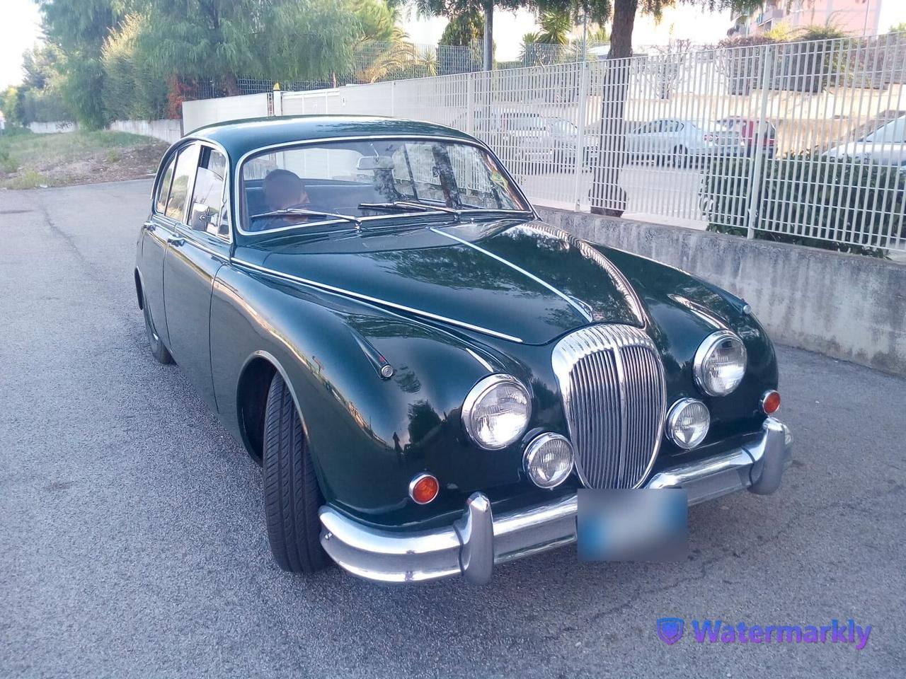Daimler Super V8 250 •Targa Oro•