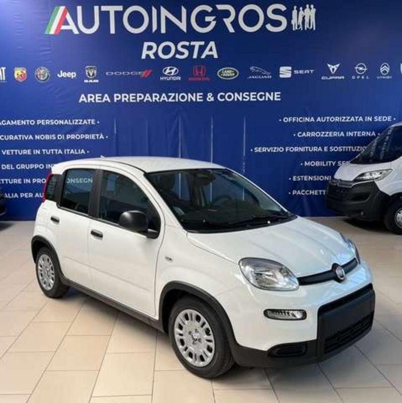 FIAT Panda 1.0 hybrid 70CV MY25 NUOVA DA IMMATRICOLARE