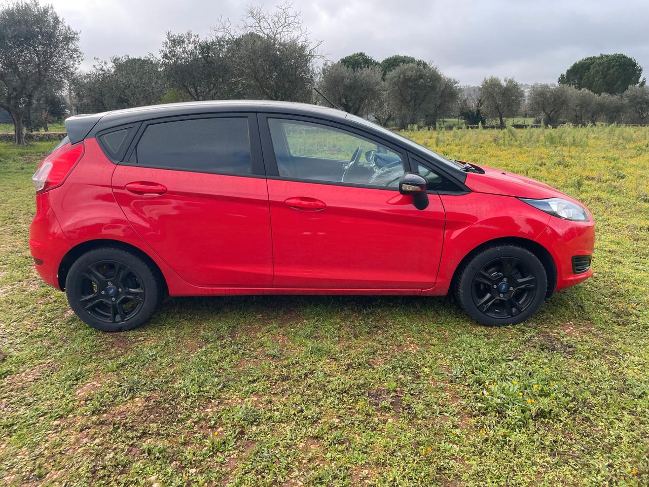 Ford Fiesta 1.0 Ecoboost 100 CV 5 porte Plus finanziabile