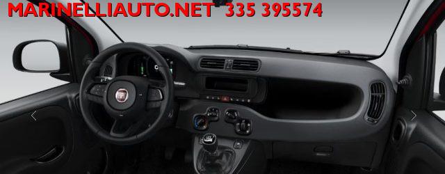 FIAT Panda 1.0 Hybrid Pop 70CV PRONTA CONSEGNA