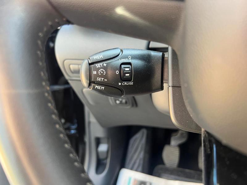 Citroen C3 Aircross 1.5 bluehdi Shine s&s 110cv