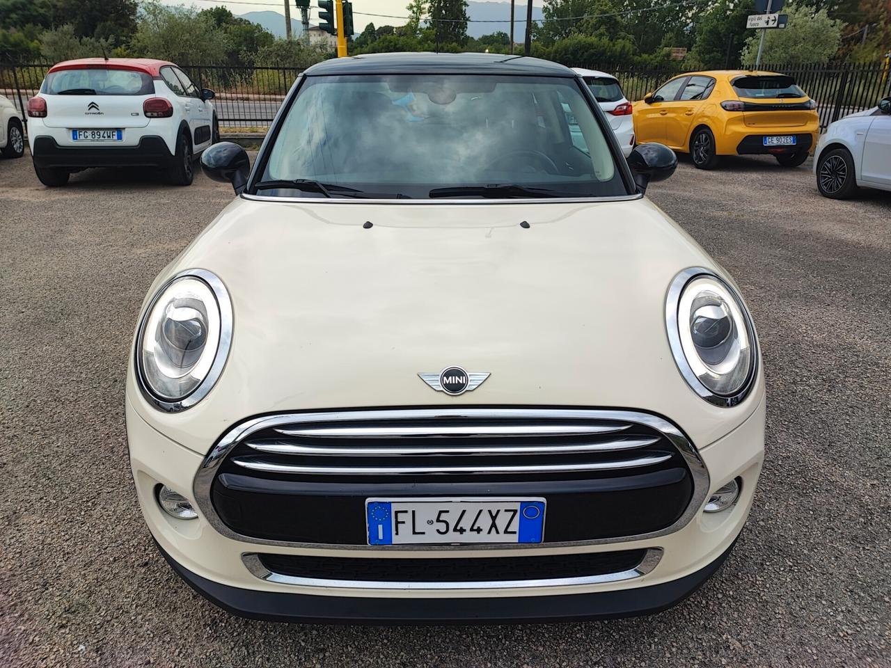 Mini 1.5 One D Hype